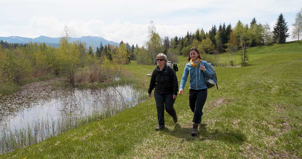 Zwei Personen wandern entlang eines Weihers