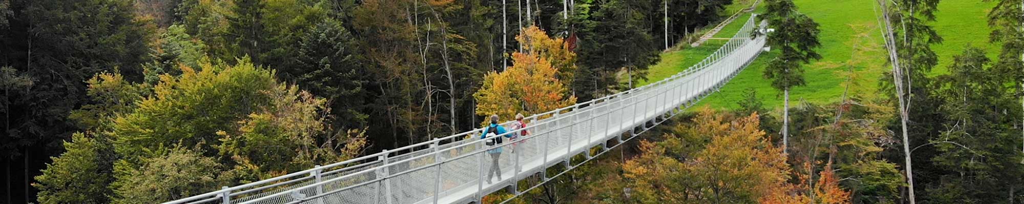 Mattenbachtobel-Brücke (AR/SG)