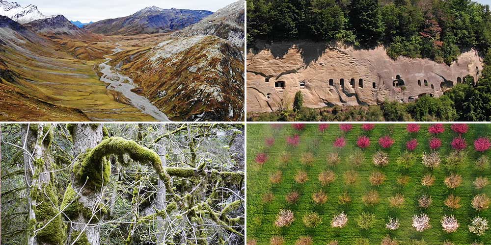 Bildergalerie mit vier Landschaften der Schweiz