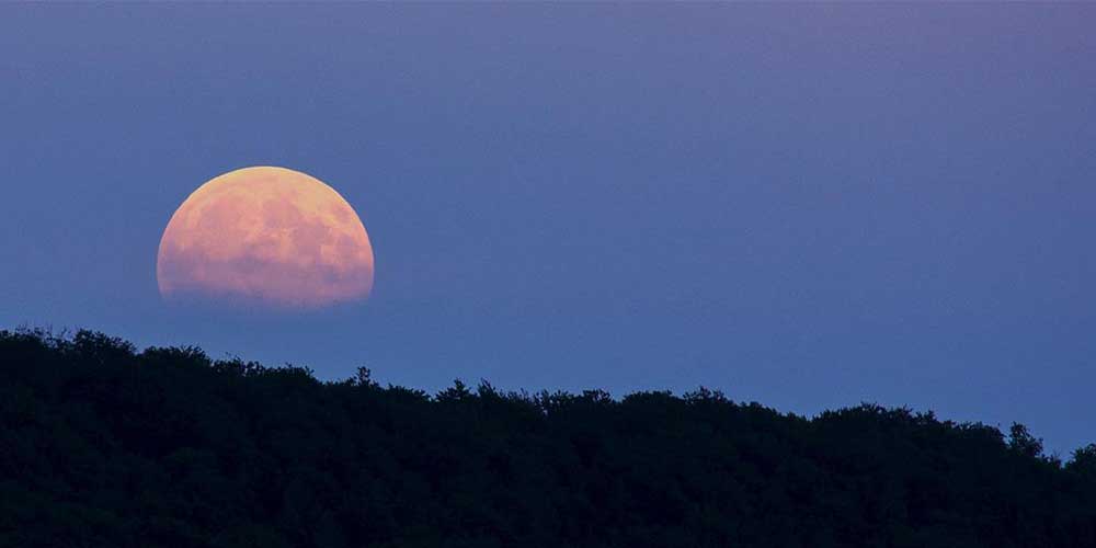 Vollmond in der Dämmerung über einem Wald